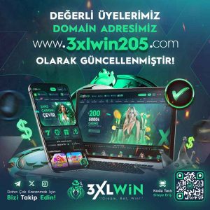 3xlwin205